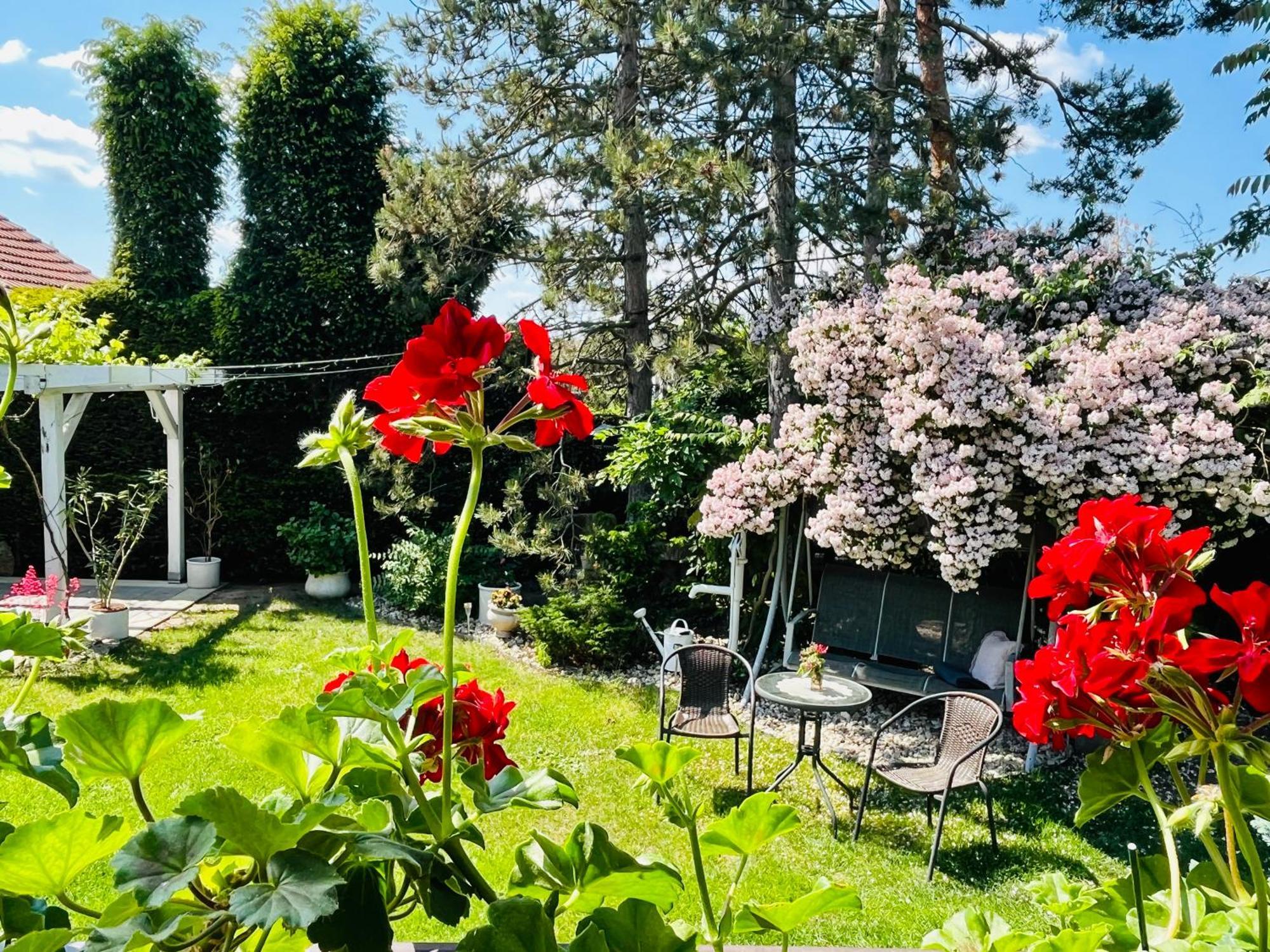 Relaxacni Studio Vera S Ubytovanim Valtice Buitenkant foto