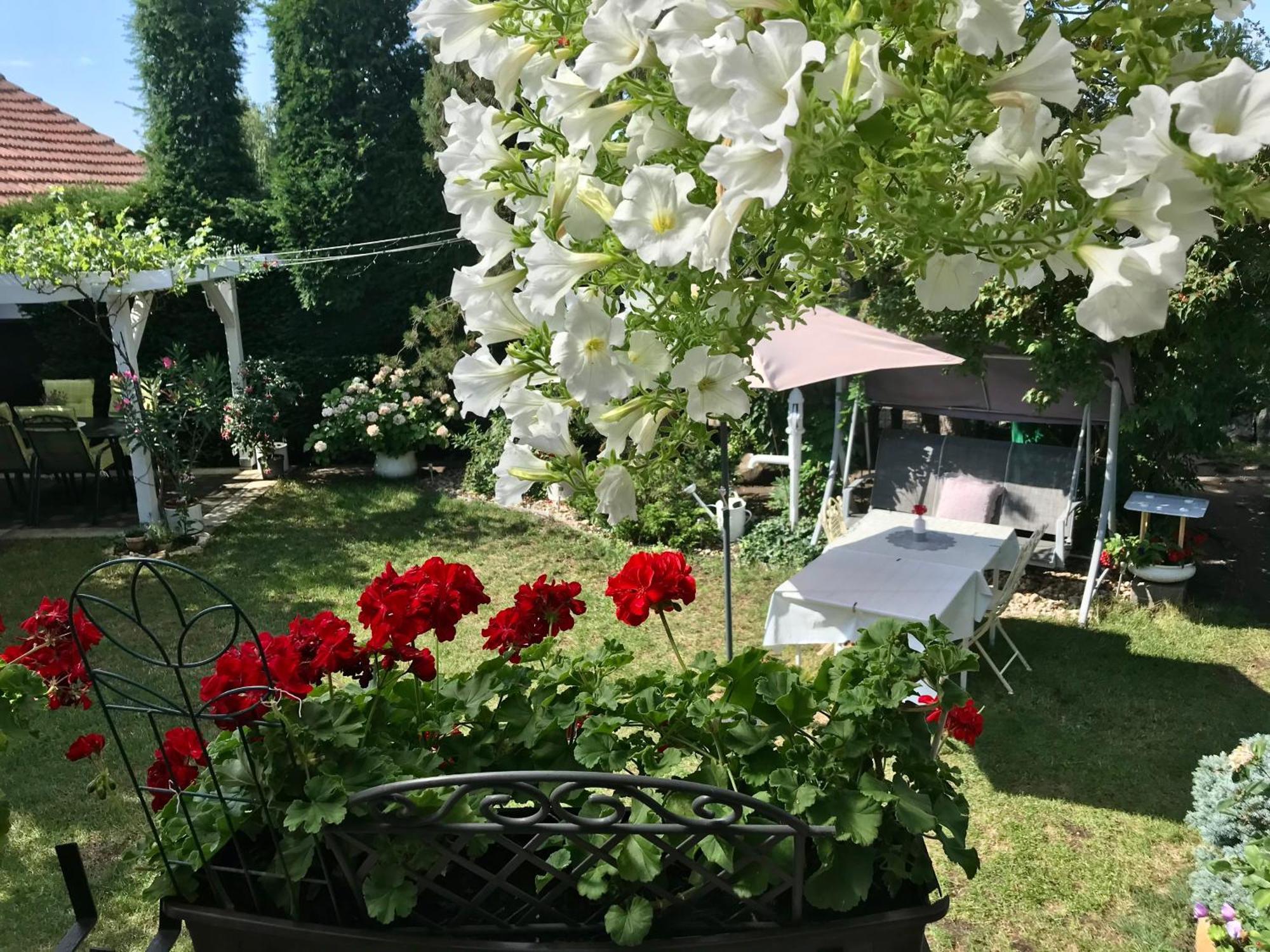 Relaxacni Studio Vera S Ubytovanim Valtice Buitenkant foto