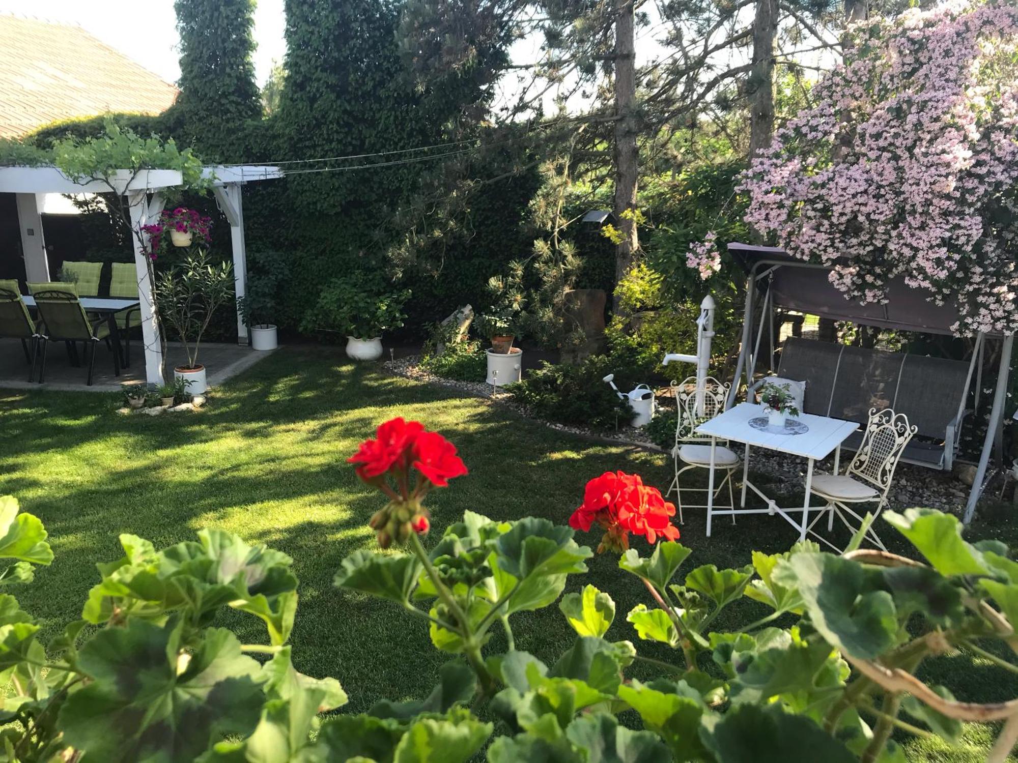 Relaxacni Studio Vera S Ubytovanim Valtice Buitenkant foto