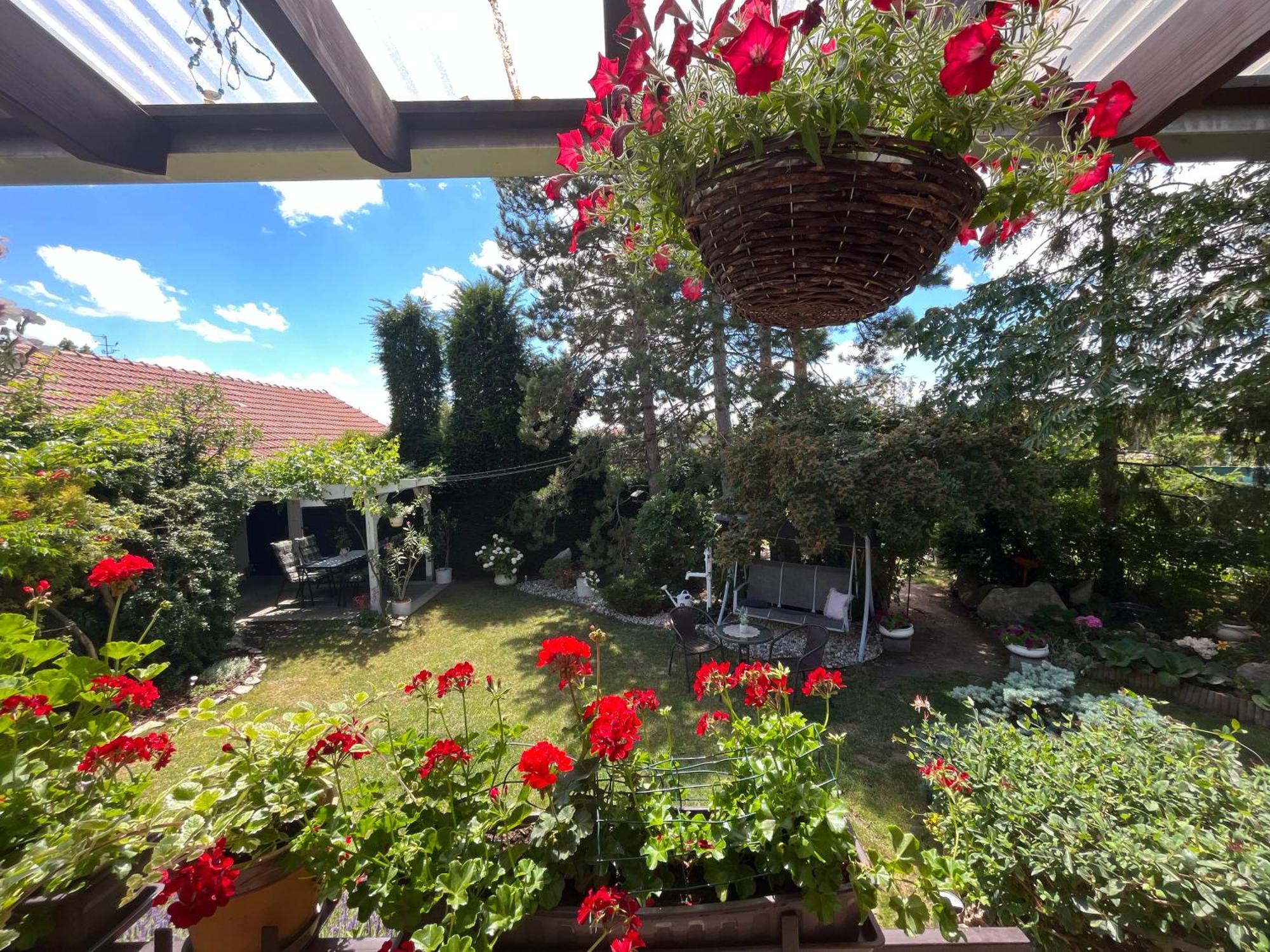 Relaxacni Studio Vera S Ubytovanim Valtice Buitenkant foto