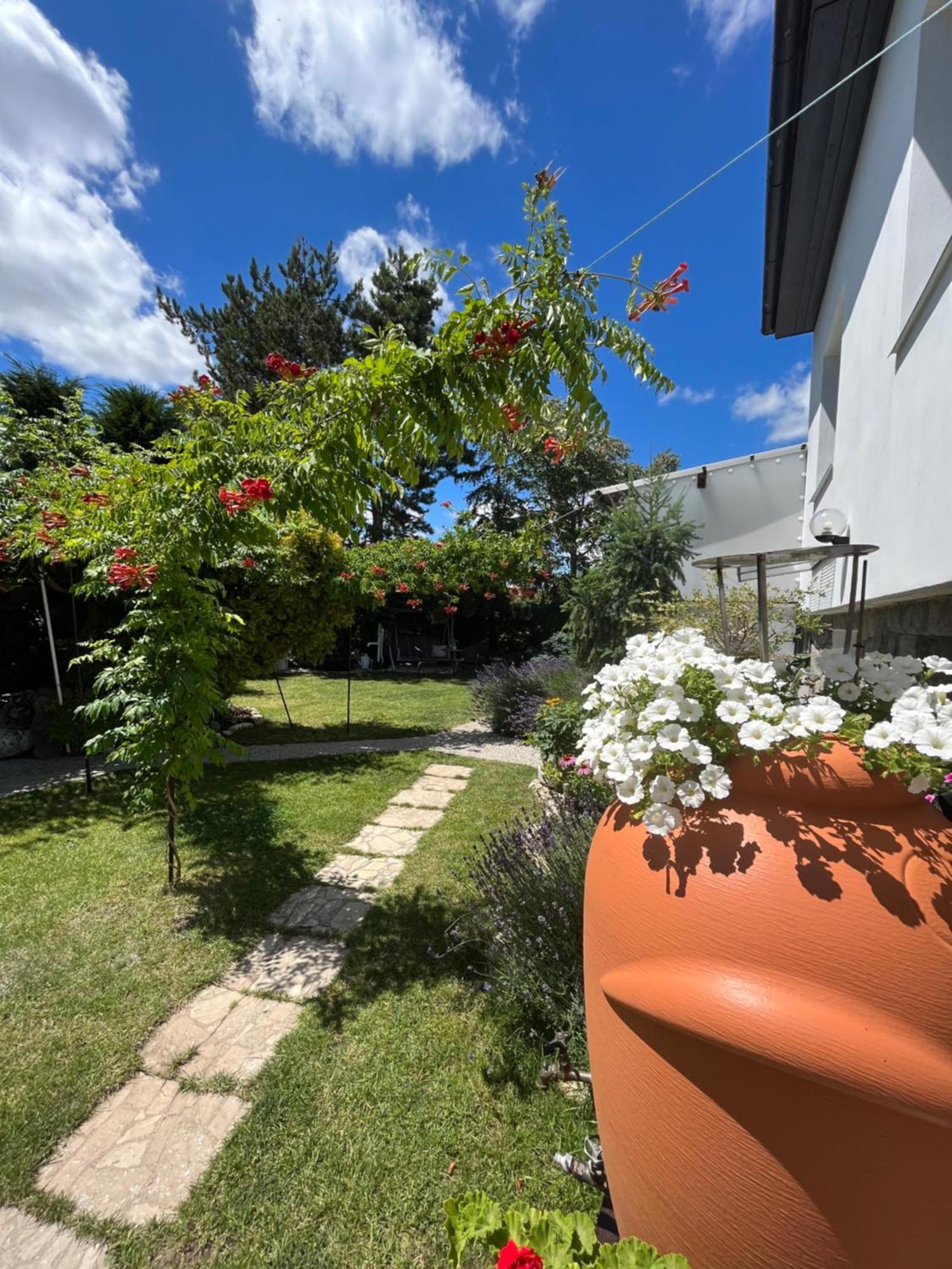 Relaxacni Studio Vera S Ubytovanim Valtice Buitenkant foto