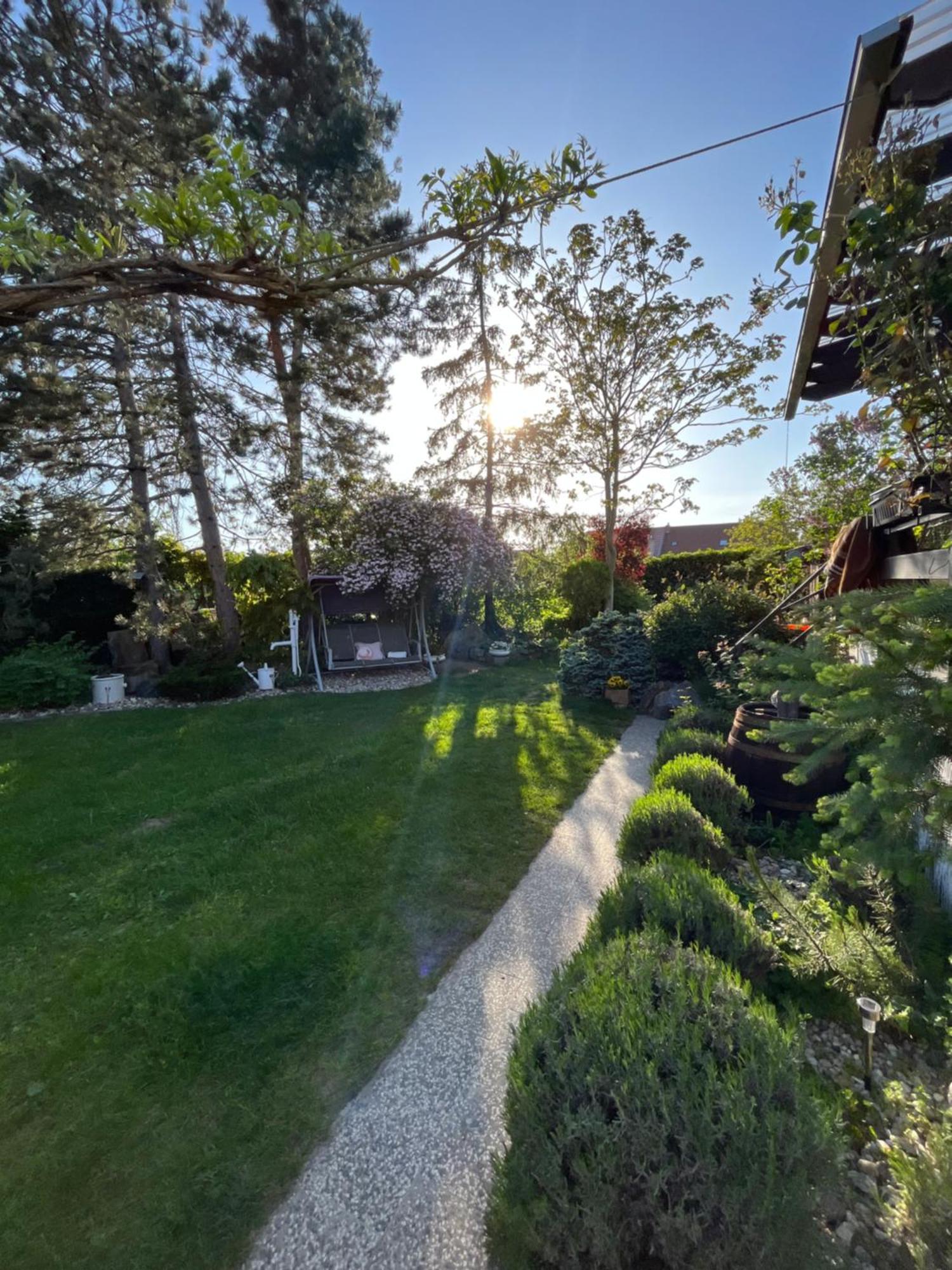 Relaxacni Studio Vera S Ubytovanim Valtice Buitenkant foto