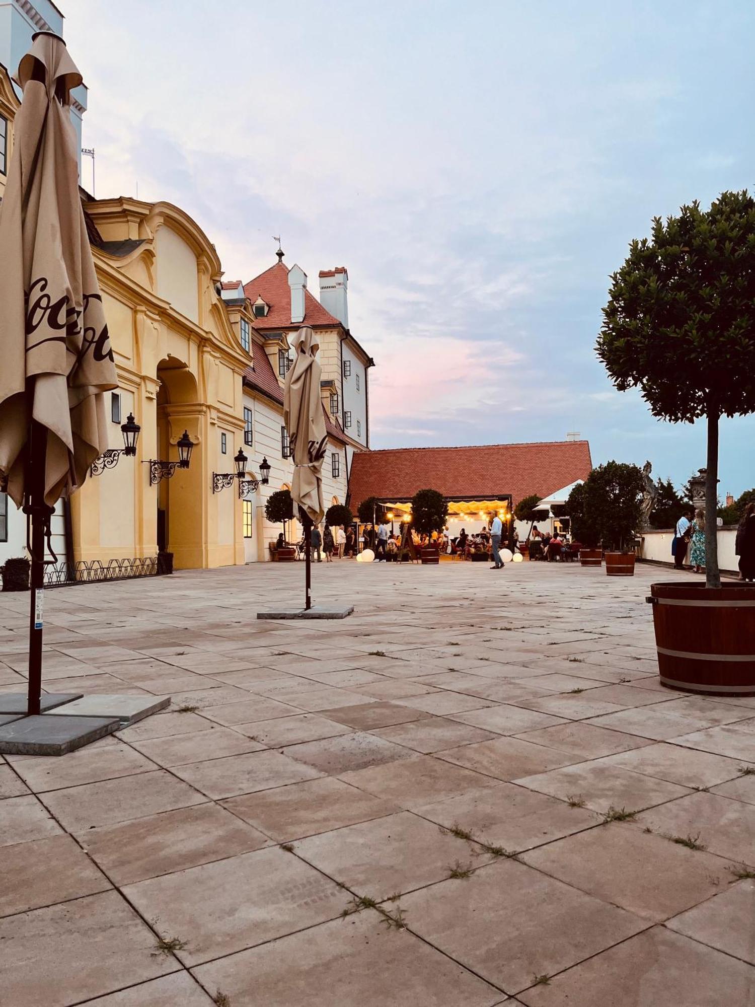 Relaxacni Studio Vera S Ubytovanim Valtice Buitenkant foto