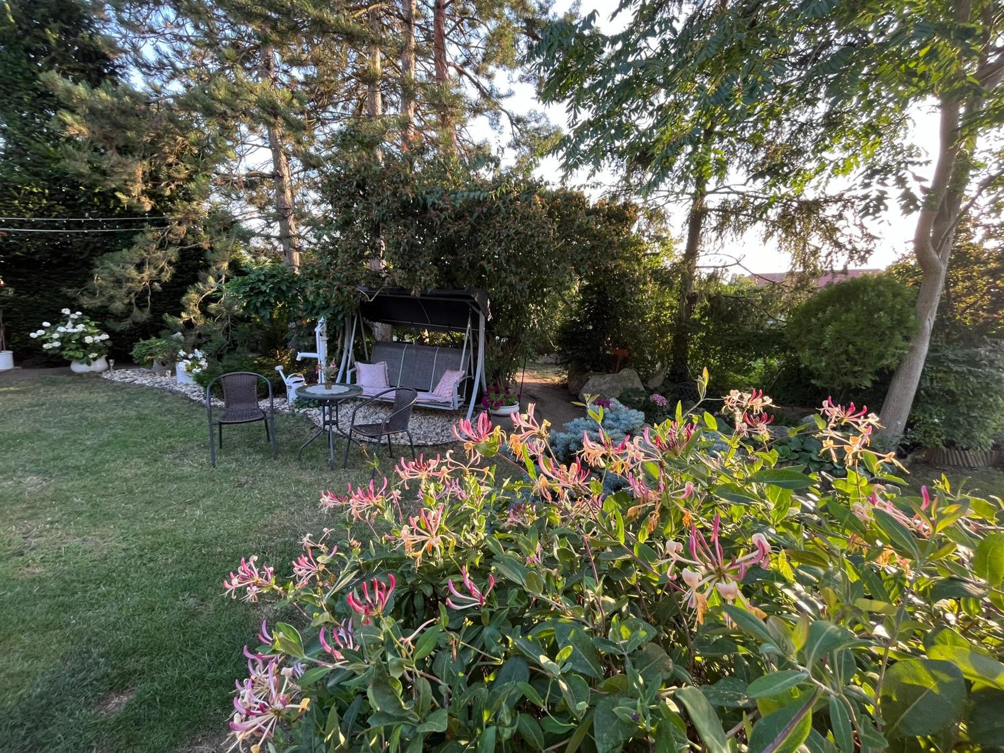 Relaxacni Studio Vera S Ubytovanim Valtice Buitenkant foto